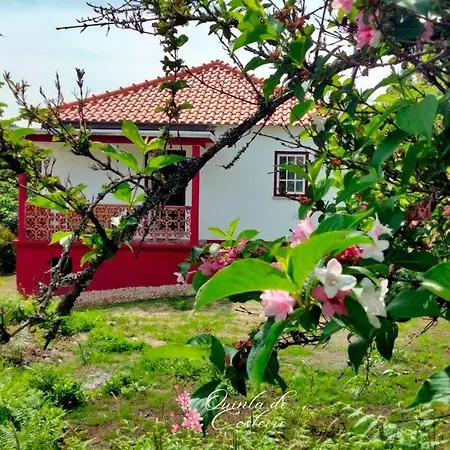 Quinta Do Cesteiro *