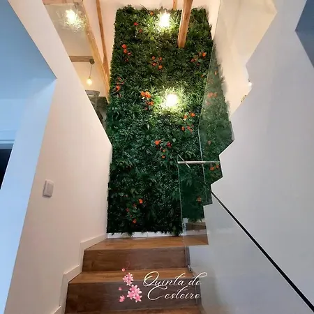 Quinta Do Cesteiro *
