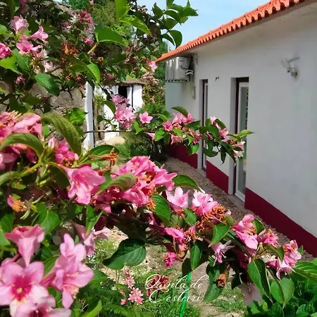 Villa Quinta Do Cesteiro