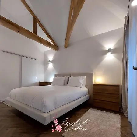 Quinta Do Cesteiro Villa *
